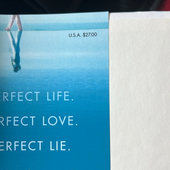 The Perfect Wife novel by JP Delaney - Picture 3 of 3